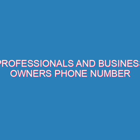 Professionals and Business Owners Phone Number Database in Nigeria